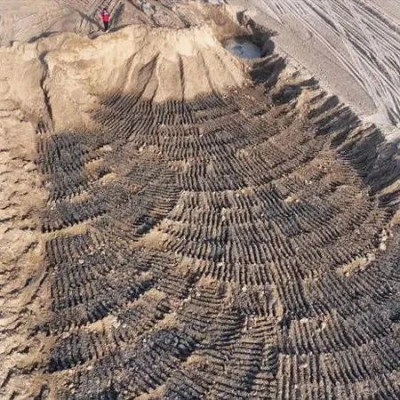 超百亩耕地被挖坑取土？官方通报