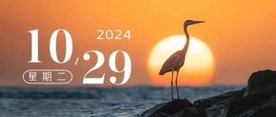 我们都有隐形的翅膀