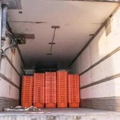 8名女工冷藏车内窒息死亡，3人被批捕