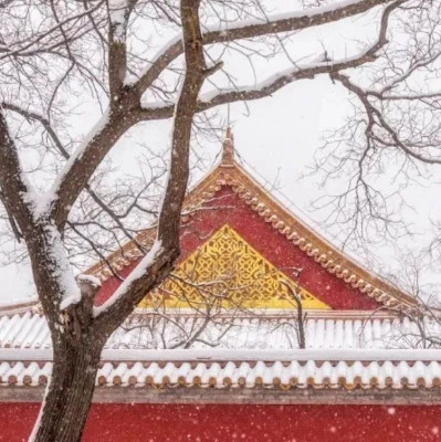 “故宫的雪”美上热搜，和几万人一起冲进故宫？大可不必！