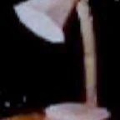 小心！你的床头灯可能正在“偷听”！