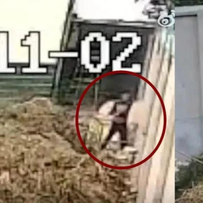 烈士家属祭奠遭拒，“打洞”进小学上坟？官方回应