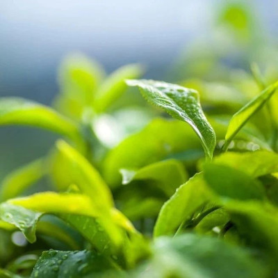 品读 | 农忙假的苦与乐