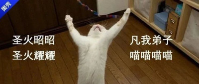 摘下诺贝尔奖，喵喵队立大功！