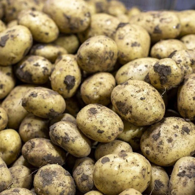 每日热问丨男子买土豆被要求缴6%交易费，为何买东西还要多交钱？