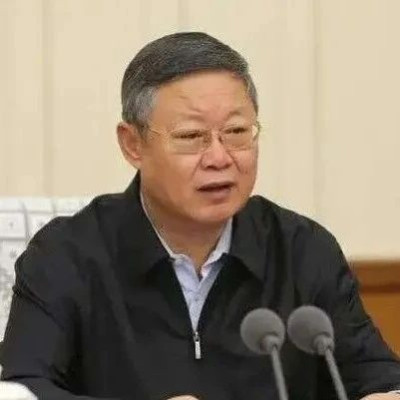 王波，被开除党籍