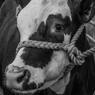 月薪18000但工作无意义，到底要不要辞职？