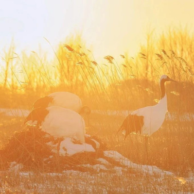 国家5A级景区+19