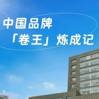 只为消费者而卷，中国品牌「卷王」炼成记