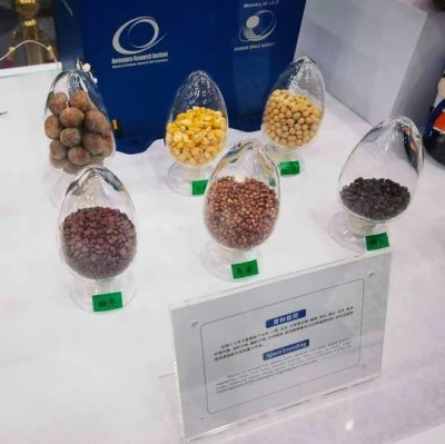 “太空种子”，今日交付🤩