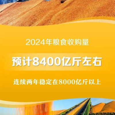 2024年粮食收购量预计8400亿斤左右